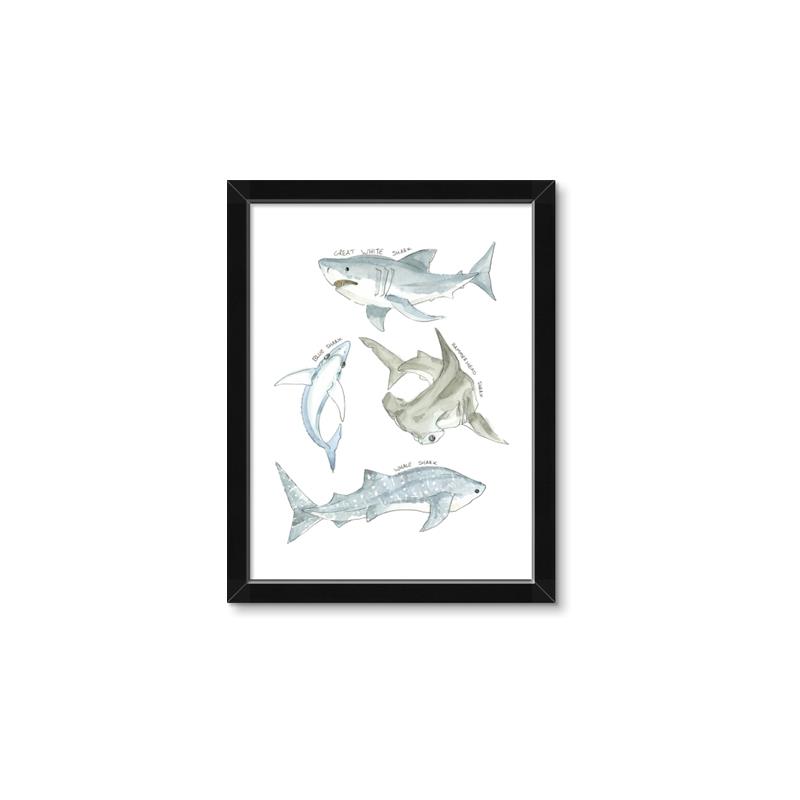 Picture of Sharks _GroupedProduct_Rectangle_Portrait_Mini_ _GroupedProduct_Rectangle_Portrait_Framed_Matted_
