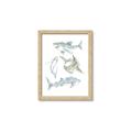 Picture of Sharks _GroupedProduct_Rectangle_Portrait_Mini_ _GroupedProduct_Rectangle_Portrait_Framed_Matted_