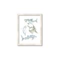Picture of Sharks _GroupedProduct_Rectangle_Portrait_Mini_ _GroupedProduct_Rectangle_Portrait_Framed_Matted_