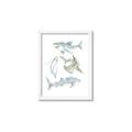 Picture of Sharks _GroupedProduct_Rectangle_Portrait_Mini_ _GroupedProduct_Rectangle_Portrait_Framed_Matted_