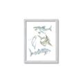 Picture of Sharks _GroupedProduct_Rectangle_Portrait_Mini_ _GroupedProduct_Rectangle_Portrait_Framed_Matted_