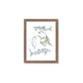 Picture of Sharks _GroupedProduct_Rectangle_Portrait_Mini_ _GroupedProduct_Rectangle_Portrait_Framed_Matted_