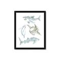 Picture of Sharks _GroupedProduct_Rectangle_Portrait_Mini_ _GroupedProduct_Rectangle_Portrait_Framed_Matted_