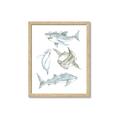 Picture of Sharks _GroupedProduct_Rectangle_Portrait_Mini_ _GroupedProduct_Rectangle_Portrait_Framed_Matted_