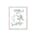 Picture of Sharks _GroupedProduct_Rectangle_Portrait_Mini_ _GroupedProduct_Rectangle_Portrait_Framed_Matted_