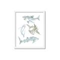 Picture of Sharks _GroupedProduct_Rectangle_Portrait_Mini_ _GroupedProduct_Rectangle_Portrait_Framed_Matted_