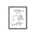 Picture of Sharks _GroupedProduct_Rectangle_Portrait_Mini_ _GroupedProduct_Rectangle_Portrait_Framed_Matted_