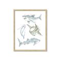 Picture of Sharks _GroupedProduct_Rectangle_Portrait_Mini_ _GroupedProduct_Rectangle_Portrait_Framed_Matted_