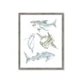 Picture of Sharks _GroupedProduct_Rectangle_Portrait_Mini_ _GroupedProduct_Rectangle_Portrait_Framed_Matted_
