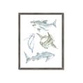 Picture of Sharks _GroupedProduct_Rectangle_Portrait_Mini_ _GroupedProduct_Rectangle_Portrait_Framed_Matted_
