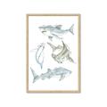 Picture of Sharks _GroupedProduct_Rectangle_Portrait_Mini_ _GroupedProduct_Rectangle_Portrait_Framed_Matted_