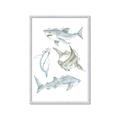 Picture of Sharks _GroupedProduct_Rectangle_Portrait_Mini_ _GroupedProduct_Rectangle_Portrait_Framed_Matted_
