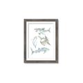 Picture of Sharks _GroupedProduct_Rectangle_Portrait_Mini_ _GroupedProduct_Rectangle_Portrait_Framed_Matted_