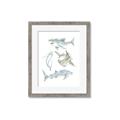 Picture of Sharks _GroupedProduct_Rectangle_Portrait_Mini_ _GroupedProduct_Rectangle_Portrait_Framed_Matted_