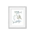 Picture of Sharks _GroupedProduct_Rectangle_Portrait_Mini_ _GroupedProduct_Rectangle_Portrait_Framed_Matted_