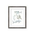 Picture of Sharks _GroupedProduct_Rectangle_Portrait_Mini_ _GroupedProduct_Rectangle_Portrait_Framed_Matted_