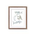 Picture of Sharks _GroupedProduct_Rectangle_Portrait_Mini_ _GroupedProduct_Rectangle_Portrait_Framed_Matted_