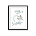Picture of Sharks _GroupedProduct_Rectangle_Portrait_Mini_ _GroupedProduct_Rectangle_Portrait_Framed_Matted_