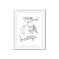 Picture of Sharks _GroupedProduct_Rectangle_Portrait_Mini_ _GroupedProduct_Rectangle_Portrait_Framed_Matted_