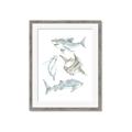 Picture of Sharks _GroupedProduct_Rectangle_Portrait_Mini_ _GroupedProduct_Rectangle_Portrait_Framed_Matted_