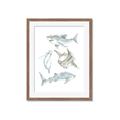 Picture of Sharks _GroupedProduct_Rectangle_Portrait_Mini_ _GroupedProduct_Rectangle_Portrait_Framed_Matted_