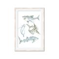 Picture of Sharks _GroupedProduct_Rectangle_Portrait_Mini_ _GroupedProduct_Rectangle_Portrait_Framed_Matted_