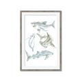 Picture of Sharks _GroupedProduct_Rectangle_Portrait_Mini_ _GroupedProduct_Rectangle_Portrait_Framed_Matted_