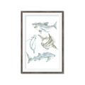 Picture of Sharks _GroupedProduct_Rectangle_Portrait_Mini_ _GroupedProduct_Rectangle_Portrait_Framed_Matted_