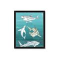 Picture of Sharks Chart _GroupedProduct_Rectangle_Portrait_Mini_ _GroupedProduct_Rectangle_Portrait_Framed_Matted_