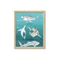 Picture of Sharks Chart _GroupedProduct_Rectangle_Portrait_Mini_ _GroupedProduct_Rectangle_Portrait_Framed_Matted_