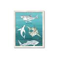 Picture of Sharks Chart _GroupedProduct_Rectangle_Portrait_Mini_ _GroupedProduct_Rectangle_Portrait_Framed_Matted_