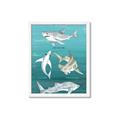 Picture of Sharks Chart _GroupedProduct_Rectangle_Portrait_Mini_ _GroupedProduct_Rectangle_Portrait_Framed_Matted_