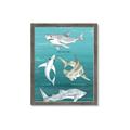 Picture of Sharks Chart _GroupedProduct_Rectangle_Portrait_Mini_ _GroupedProduct_Rectangle_Portrait_Framed_Matted_