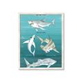 Picture of Sharks Chart _GroupedProduct_Rectangle_Portrait_Mini_ _GroupedProduct_Rectangle_Portrait_Framed_Matted_