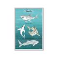 Picture of Sharks Chart _GroupedProduct_Rectangle_Portrait_Mini_ _GroupedProduct_Rectangle_Portrait_Framed_Matted_