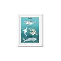 Picture of Sharks Chart _GroupedProduct_Rectangle_Portrait_Mini_ _GroupedProduct_Rectangle_Portrait_Framed_Matted_