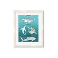 Picture of Sharks Chart _GroupedProduct_Rectangle_Portrait_Mini_ _GroupedProduct_Rectangle_Portrait_Framed_Matted_