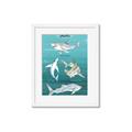 Picture of Sharks Chart _GroupedProduct_Rectangle_Portrait_Mini_ _GroupedProduct_Rectangle_Portrait_Framed_Matted_