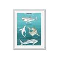 Picture of Sharks Chart _GroupedProduct_Rectangle_Portrait_Mini_ _GroupedProduct_Rectangle_Portrait_Framed_Matted_