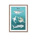 Picture of Sharks Chart _GroupedProduct_Rectangle_Portrait_Mini_ _GroupedProduct_Rectangle_Portrait_Framed_Matted_