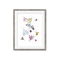 Picture of Fun Insects _GroupedProduct_Rectangle_Portrait_Mini_ _GroupedProduct_Rectangle_Portrait_Framed_Matted_