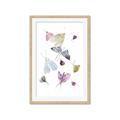 Picture of Fun Insects _GroupedProduct_Rectangle_Portrait_Mini_ _GroupedProduct_Rectangle_Portrait_Framed_Matted_