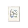 Picture of Baby Dino l _GroupedProduct_Rectangle_Portrait_Mini_ _GroupedProduct_Rectangle_Portrait_Framed_Matted_