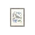Picture of Baby Dino l _GroupedProduct_Rectangle_Portrait_Mini_ _GroupedProduct_Rectangle_Portrait_Framed_Matted_