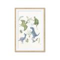 Picture of Baby Dino ll _GroupedProduct_Rectangle_Portrait_Mini_ _GroupedProduct_Rectangle_Portrait_Framed_Matted_