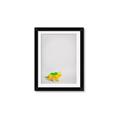 Picture of Toy Triceratops _GroupedProduct_Rectangle_Portrait_Mini_ _GroupedProduct_Rectangle_Portrait_Framed_Matted_