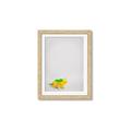 Picture of Toy Triceratops _GroupedProduct_Rectangle_Portrait_Mini_ _GroupedProduct_Rectangle_Portrait_Framed_Matted_