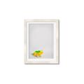 Picture of Toy Triceratops _GroupedProduct_Rectangle_Portrait_Mini_ _GroupedProduct_Rectangle_Portrait_Framed_Matted_
