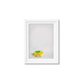 Picture of Toy Triceratops _GroupedProduct_Rectangle_Portrait_Mini_ _GroupedProduct_Rectangle_Portrait_Framed_Matted_