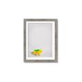 Picture of Toy Triceratops _GroupedProduct_Rectangle_Portrait_Mini_ _GroupedProduct_Rectangle_Portrait_Framed_Matted_